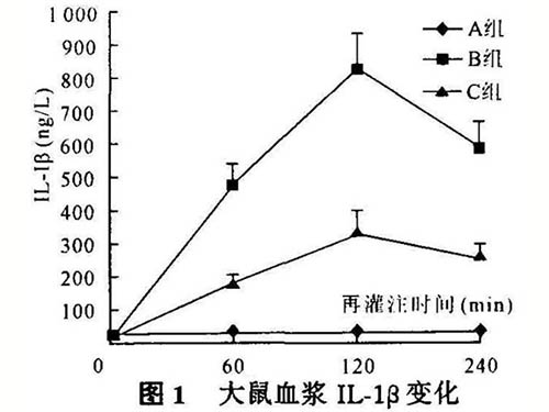 白細(xì)胞介素-1介導(dǎo)骨骼肌缺血再灌注損傷的