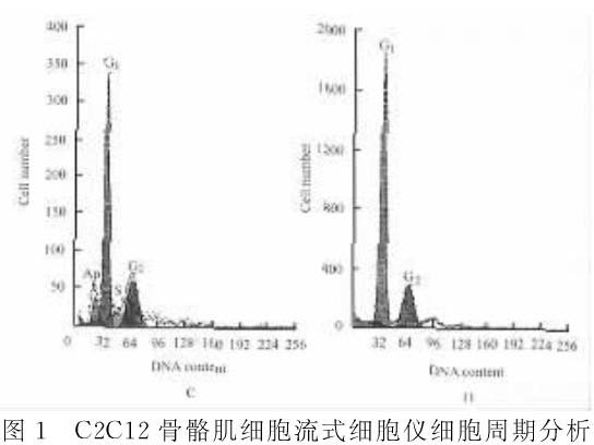 骨骼肌肌細胞增殖及分化過程中凋亡現(xiàn)象