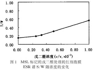 膜蛋白交聯(lián)對紅細胞膜變形性及流動性的影響