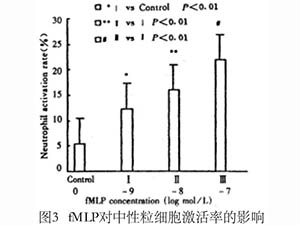 中性粒細(xì)胞激活及其與內(nèi)皮細(xì)胞粘附的關(guān)系